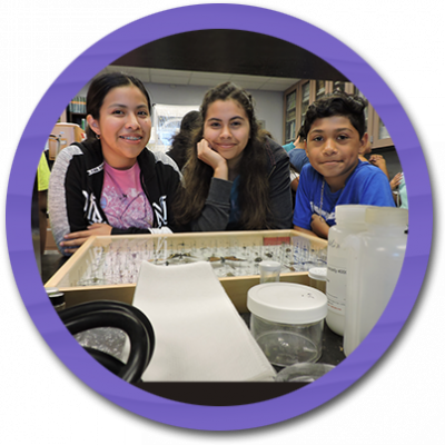 Students in school lab