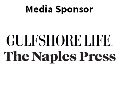 gsl_np_media_sponsor